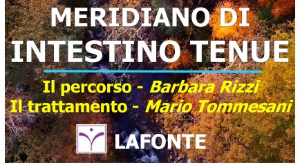 6. copertina Meridiano di Intestino Tenue